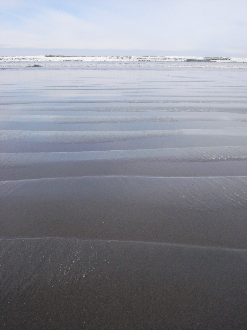 Illustration for article titled Ocean Shores is not boring.